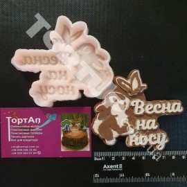 Авторський силіконовий молд для шоколаду Весна на носу, 9*8см, глубина 15мм