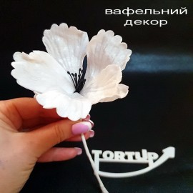Вафельний декор Квітка №7 Гібіскус білий 9см