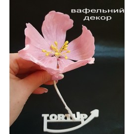Вафельний декор Квітка №7 Гібіскус рожевий 9см