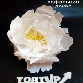Вафельний декор Квітка №9 Півонія білий 11см, 1шт