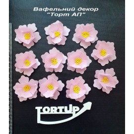 Вафельний декор Квітка №11 Сакура рожева 4.5см 11 шт.